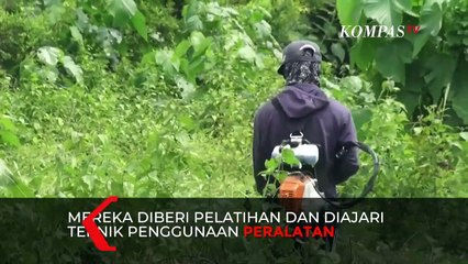 Napi Lapas Jember Sulap Lahan Kosong Jadi Lahan Pertanian