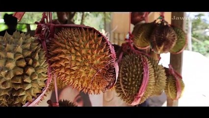 Belanja Durian di Pasar Pagotan Madiun, Borongan Lebih Miring