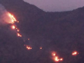 கண்ணே தெரியலை.. அப்பிய புகை.. காட்டு தீயில் சிக்கிய வாயில்லா ஜீவன்கள்.. அனலில் கொடைக்கானல்! - வீடியோ