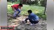 China_and_japanese_Funny__Funny_video__Chinese_Funny_2018(240p)