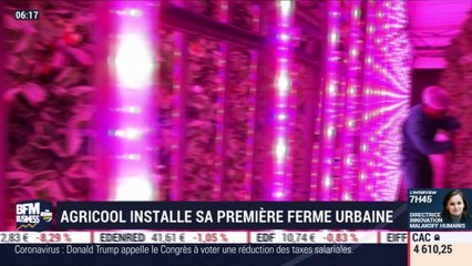 La France qui bouge : Agricool installe sa première ferme urbaine - 12/03