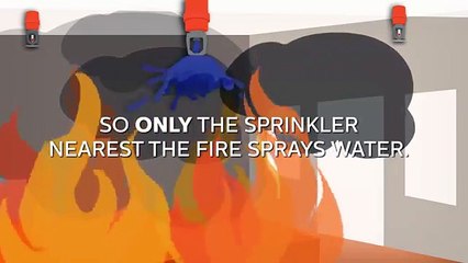 Blazemaster How Fire Sprinklers Work