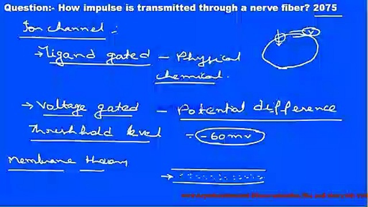 Transmission of Nerve Impulse
