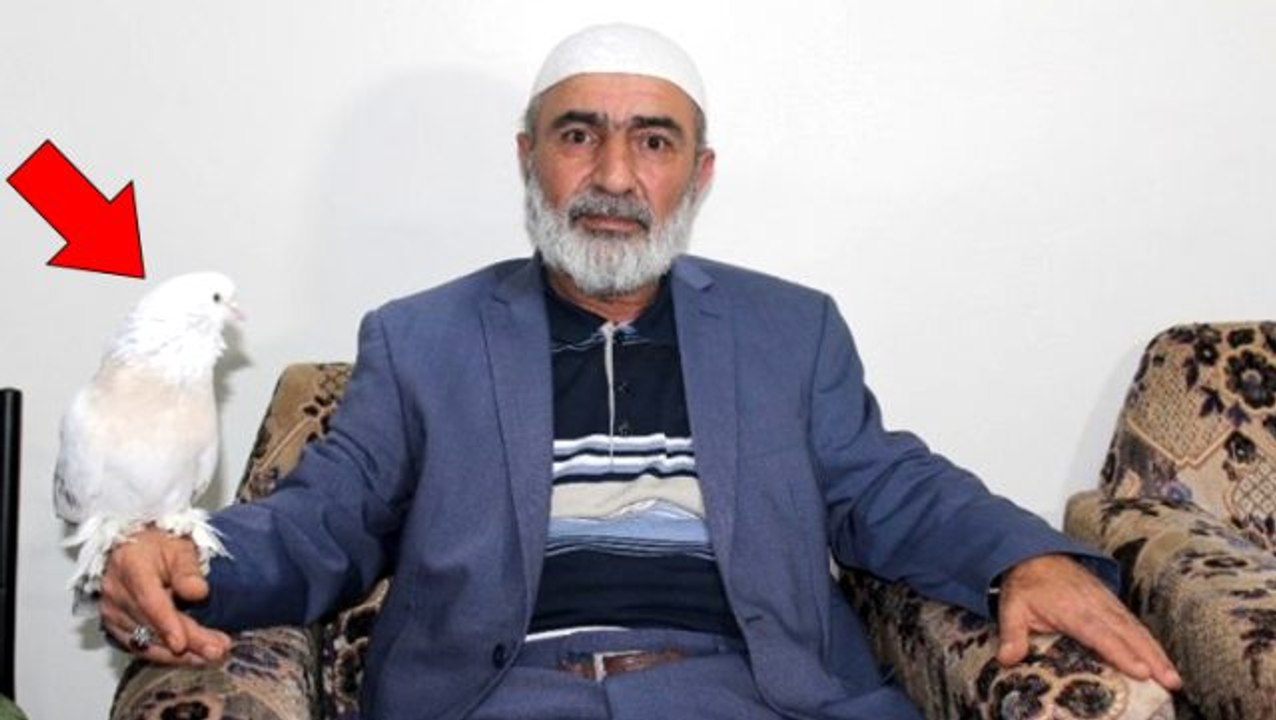 Elazığlı vatandaşın beslediği güvercine Araplar 55 bin dolar teklif etti, satmadı! 100 bin dolar istiyor