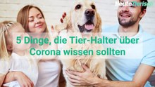 5 Quarantäne-Tipps für Hundehalter