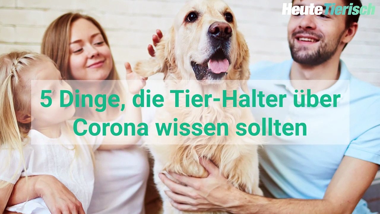 5 Quarantäne-Tipps für Hundehalter