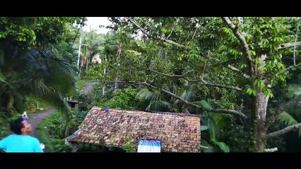 Durian Lokal Bawean, Manisnya Terkenal Melebihi Varietas Mancanegara