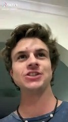 Chat vs Papier aluminium