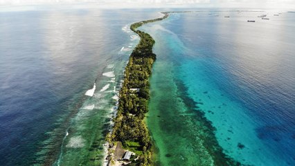Coraux, forêt : les conséquences désastreuses du réchauffement climatique