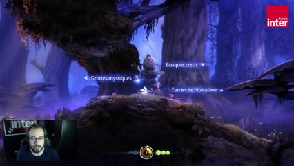"Ori & the Blind Forest", bondissante fable mélancolique - Let's Play #LFAJV