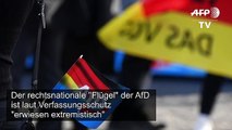 Verfassungsschutz: AfD-Flügel 