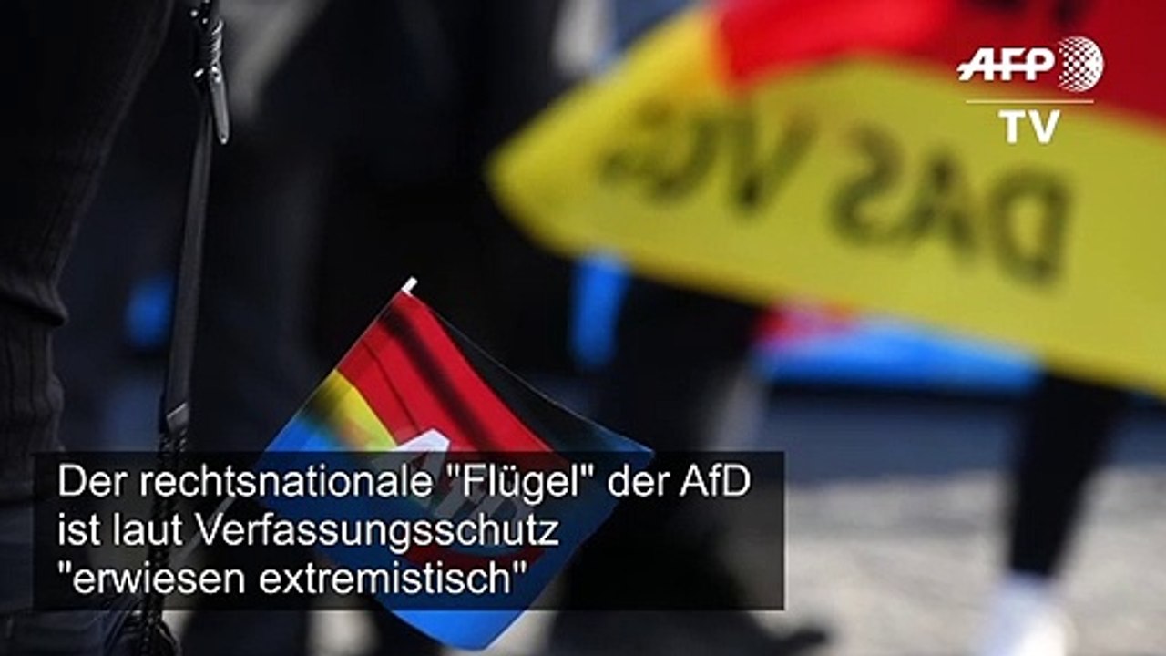 Verfassungsschutz: AfD-Flügel 'erwiesen extremistisch'