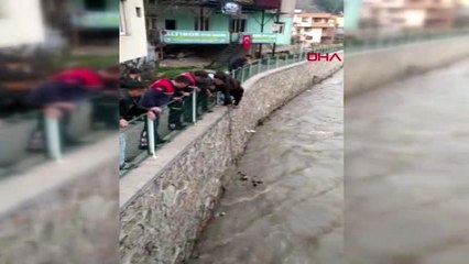 ADANA Irmakta mahsur kalan kediyi kurtarma operasyonu