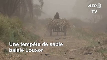 Égypte: une tempête de sable frappe la ville de Louxor
