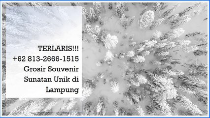 TERLARIS!!! +62 813-2666-1515 | Grosir Souvenir Sunatan Unik di Lampung