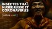 Culture Week by Culture Pub - Insectes Thaï, Musée Russe et Coronavirus