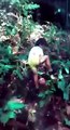 Sarawak boy reported missing near an oil palm plantation in Pantu, Sri Aman,
