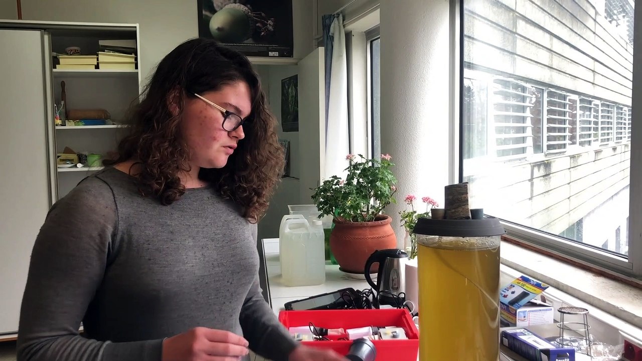 algues CO2 lycée N.Appert