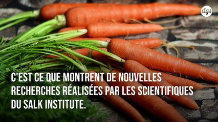 La restriction calorique a un impact significatif sur le vieillissement des cellules selon une étude
