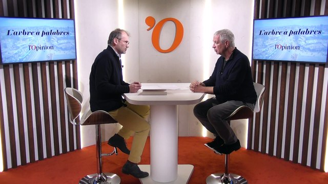 «Kinshasa est une plaque tournante du diamant», rapporte Vincent Crouzet (ancien collaborateur de la DGSE et romancier)