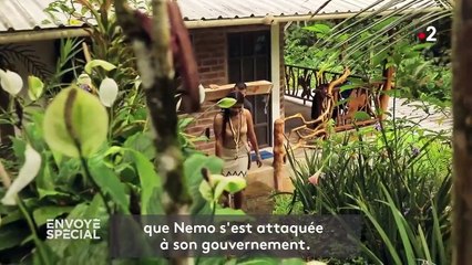 Défense de la forêt amazonienne : comment les Indiens waorani ont gagné contre l'industrie pétrolière