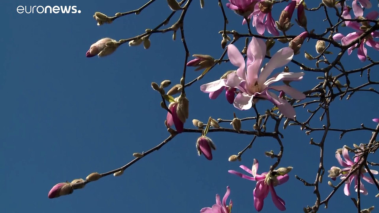 Alles zu: Menschenleeres Mailand