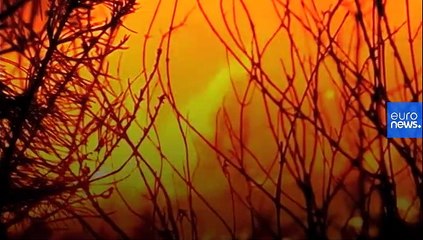 En Espagne, le changement climatique pousse à l'exil des communautés rurales