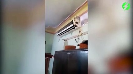 Des bruits venaient de la climatisation... Regardez ce qu'ils y trouvent