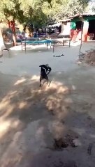 Motivational Video | आप इस वीडियो को देखने के बाद कभी भी हिम्मत नहीं हारोगे ।।