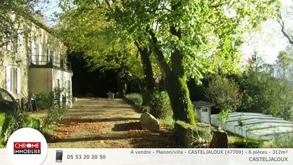 A vendre - Maison/villa - CASTELJALOUX (47700) - 6 pièces - 312m²