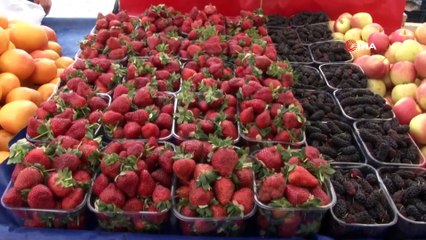 Bahar Meyveleri Çilek ve AhududuTezgâhlardaki Yerini Aldı