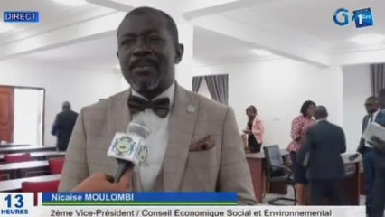 Séance de travail avec le groupe d’association du conseil économique, social et environnemental