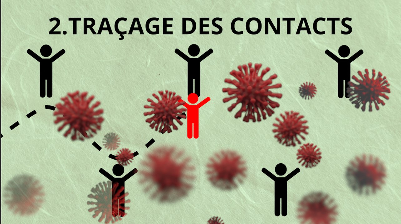 Coronavirus : comment contrôler une épidémie, mode d'emploi