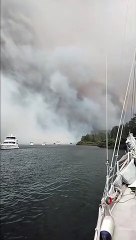 Smoke From Australian Wildfires Blackens the Noon-Day Sky