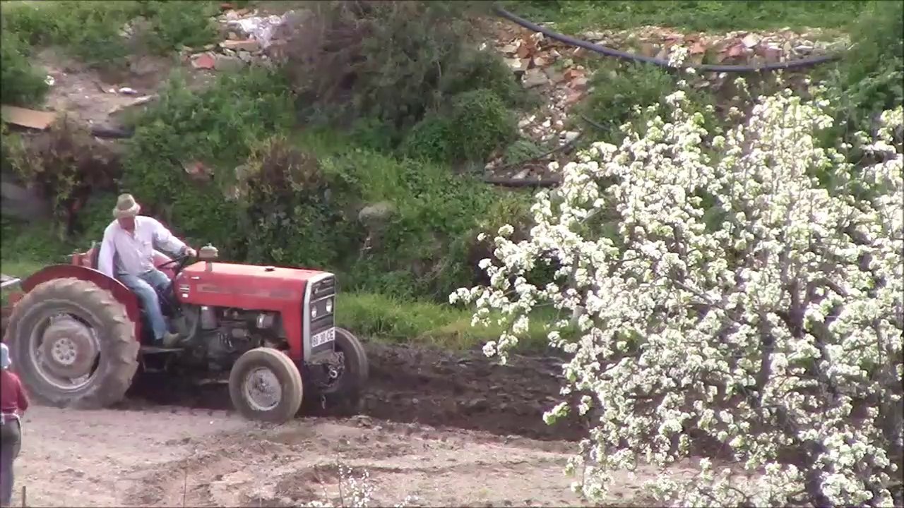 Enchada e Tractor na Quinta, é Trabalho... Covilhã a 12-3-2020