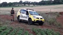 Homem é executado na área rural de Cascavel e suspeitos são detidos