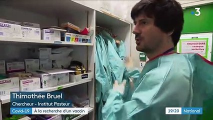 Coronavirus : à la recherche d'un vaccin