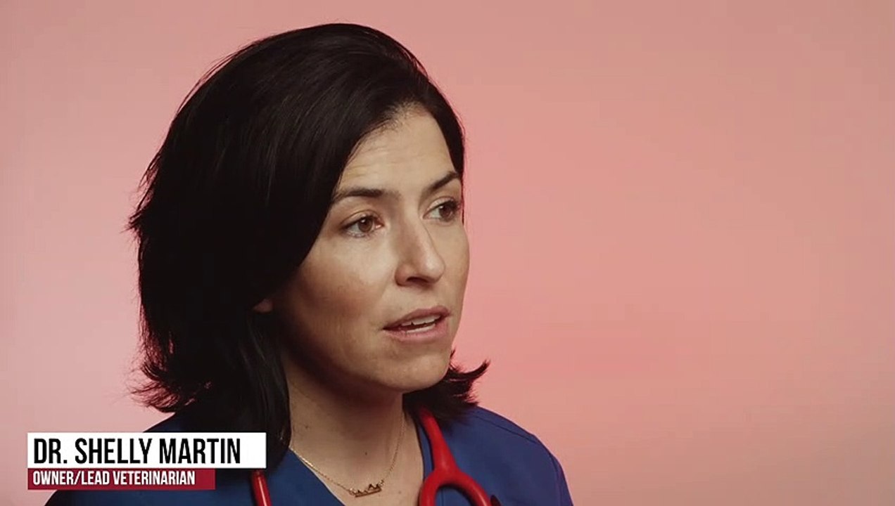 Pet Emergency Services | Tucson, AZ | Desert Paws Mobile Veterinary Care