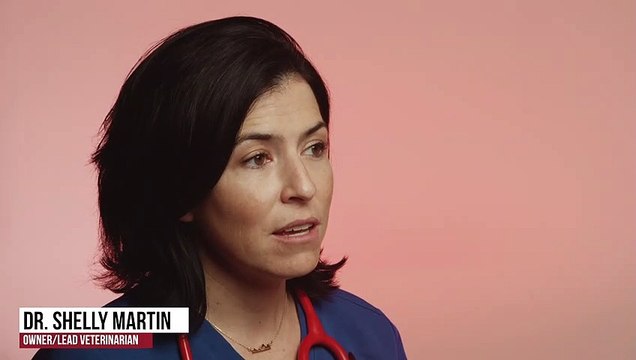 Pet Emergency Services | Tucson, AZ | Desert Paws Mobile Veterinary Care