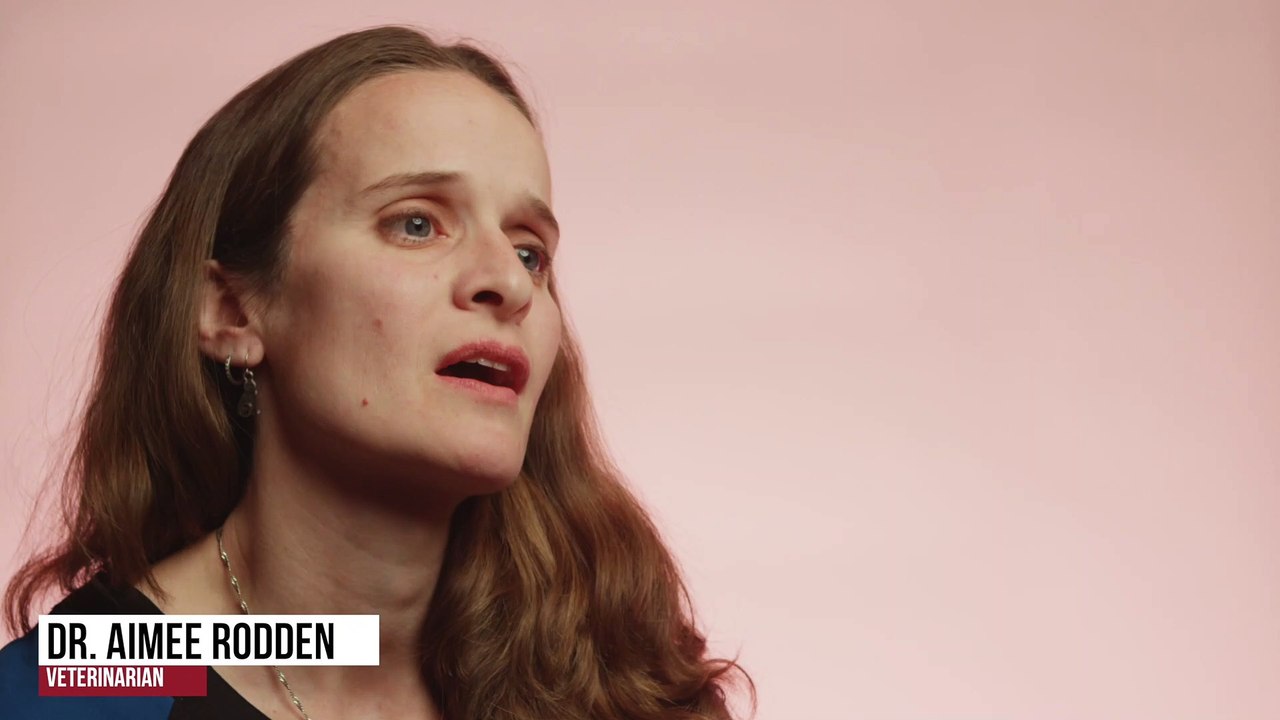 At-Home Humane Pet Euthanasia | Tucson, AZ | Desert Paws Mobile Veterinary Care