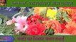 Flowers decoration ideas,best flowers decoration 2020  byShri Kumud flowers decoration b