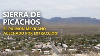 Sierra de Picachos: el pulmon mexicano acechado por extracción