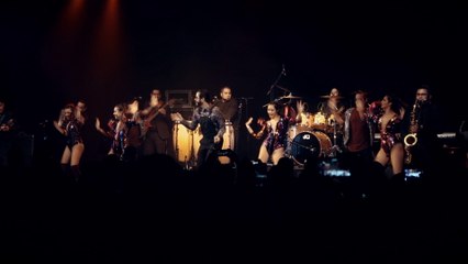 Chico Che Chico - Qué Culpa Tiene La Estaca