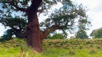 Le Jardin secret Film Bande-annonce