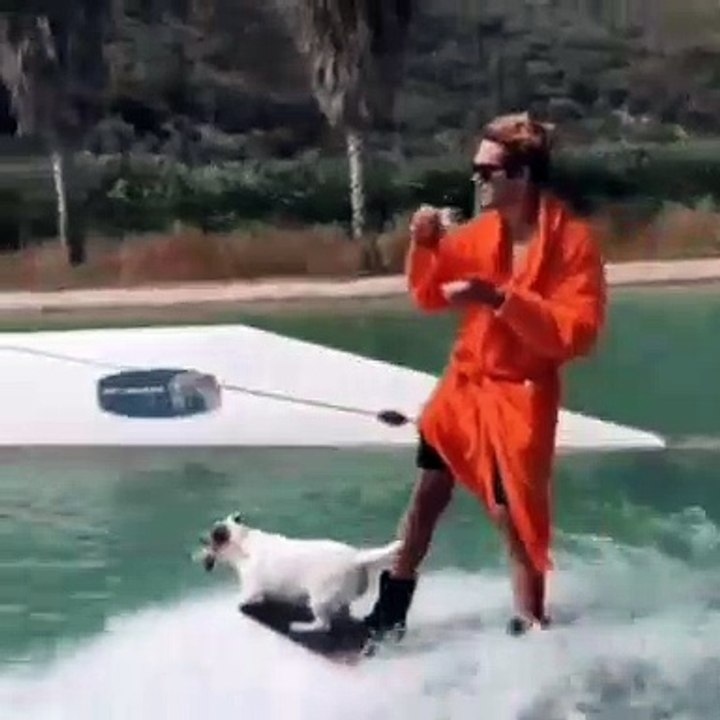FUNNY VİDEO