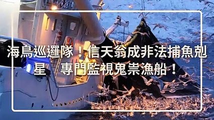 petmao_curation-petsmao.nownews-copy3-20200313-09:30