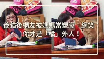 petmao_curation-petsmao.nownews|petmao_nownews-copy2-20200313-09:30