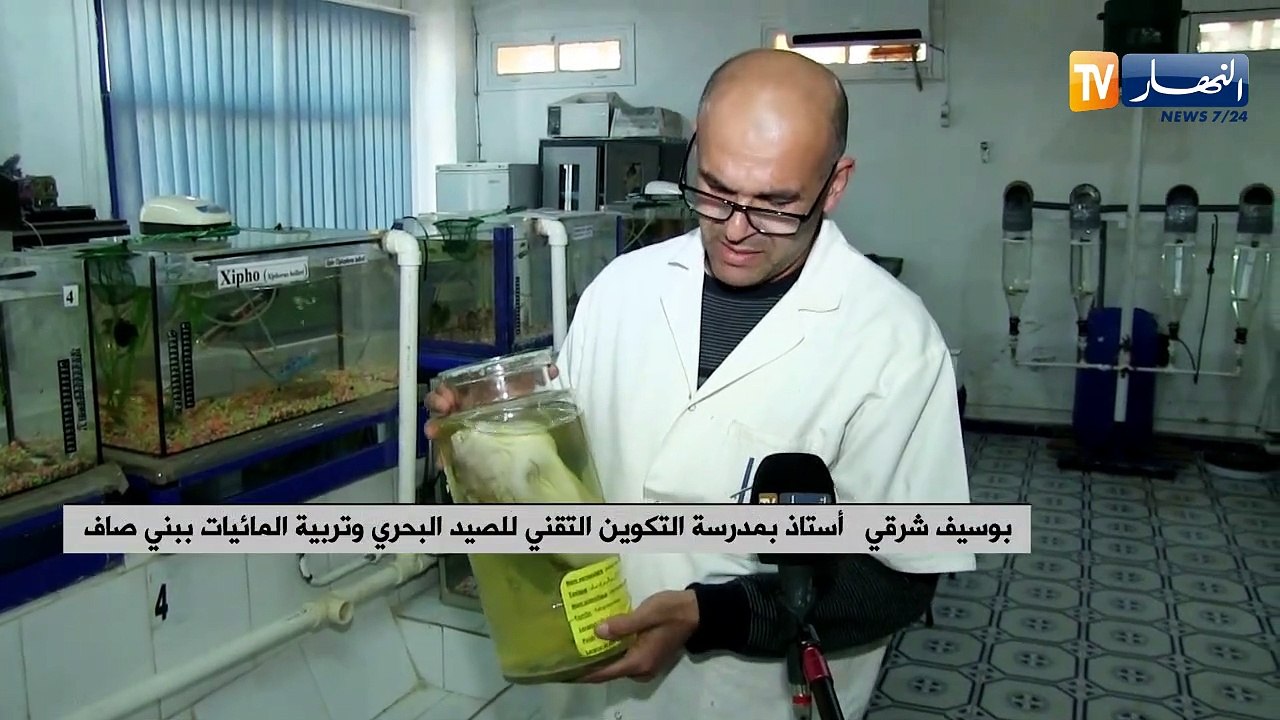 عين تموشنت: أسماك نادرة بمدرسة التكوين التقني ل...