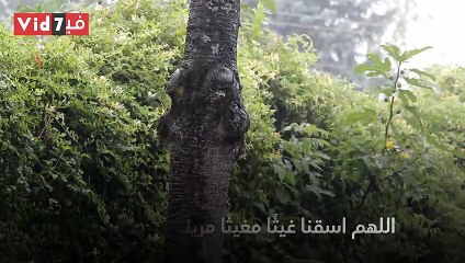 دعاء نزول المطر اللهم اسقنا غيثًا مغيثًا مريئًا نافعًا غير ضار