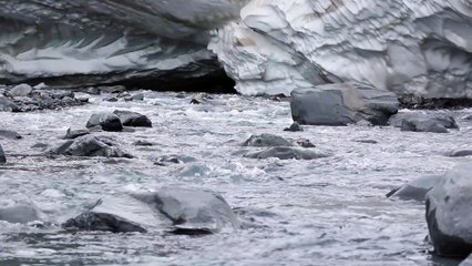 Pexels Videos 1585674